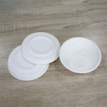 Organic biodegradable disposable food bowl