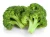 Import Broccoli Extracrt from China