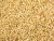 Import Natural White Non GMO Sesame Seeds in Best Price from Nigeria