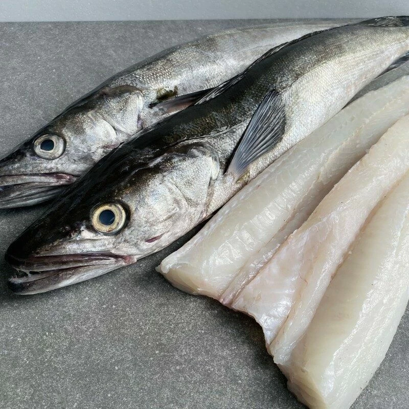 Frozen Hake Fish For Sale from Master Foods SA (Pty) Ltd, South Africa