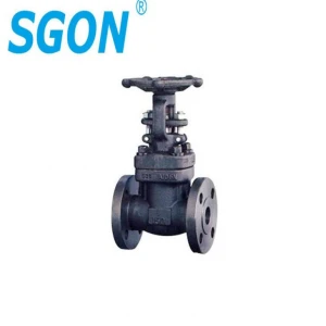 Forged Gate Valve With Flange