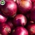 Import 1 ton price wholesale fresh red onion from China