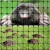 Import 15mm*15mm 16 mm *16 mm outdoor netting stretch plastic anti animal mole control net from China