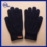 2016 Wholesale Women Adult Winter Outdoor Warm Cotton Leather Patch Logo Gloves Touch Screen Wrist Gloves Mittens