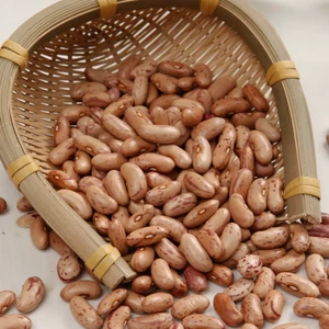 2018 China new crop good quality light speckled Pinto Kidney Bean