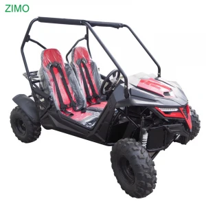 2020 45km/h Electric/Pull Start System Go-kart Buggy 2 Seater Gas Go Kart, 4 Stroke 208CC Racing Adult Offroad Go Kart