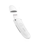 2020 Newest with misty function spray 24k gold waterproof ultrasonic skin scrubber