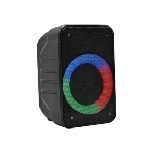 2021 OEM Custom Speaker With RGB Light BT Speaker single 4inch 10w
