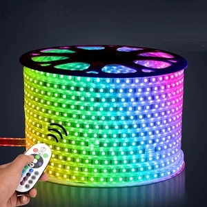 220V 110V LED Strip 5050 50m 100m IP67 Waterproof RGB 16 Colors Rope Lighting With RF Music Sync Bluetooth Remote Controller