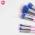 Import 6pcs  Factory Rainbow Pink Makeup Brush Set Makeup Tool Kit With Cosmetic Pouch from China