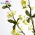 Import 99CM dried jewelry plastic blossom apple flowers from China