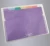 Import A4 FC PP Plastic 13 Pockets Rainbow Index Expanding File from China