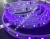 Import addressable ws2801 UV led strip12v 60led/m smd 5050 purple led strip waterpfoof from China