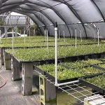 Agriculture hdpe shade net