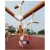 Import Amusement China wooden outdoor playground equipment children amusement park products from China