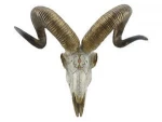 Animal Head Wall Hanging Decor Horse Head Statues