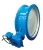 Import API Double Flange Triple Offset Butterfly Valve with Gear Operation from China