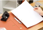 Arch File Plastic File Customized Office And School Used A4 PP 2 Ring Binder Lever Arch File Folder