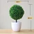 Import Artificial Plants Bonsai Small Tree Pot Plants Fake Flowers Potted Ornaments For Home Decoration Hotel Garden Decor from China