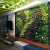 Import artificial plastic creeper boxwood hedge moss grass indoor plant vertical panels green wall system for decoration from China