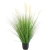 Import Artificial reed potted Ins style home decoration indoor plant decoration bonsai ornaments from China