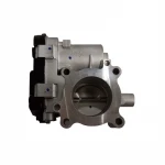 Auto Parts Throttle Valve Body Throttle Assembly S21-1129010FA for  Golden Cup 750