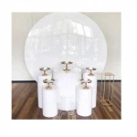 Awesome Acrylic Round Arch With Plinths Wedding Decorations Columns Pillars