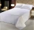 Import Bed sheet cotton,quilted bed sheet,white hotel bed sheet from China