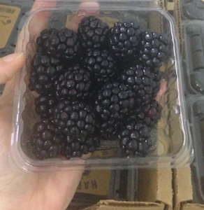 Berries from Mexico