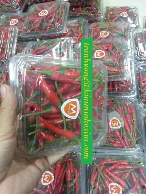 BEST CHOICE ------&gt; HIGH QUALITY FRESH CHILLI HERE