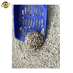 Best Clumping Wood Core Cat Sand