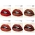 Import Best  high-end waterproof matte vendor  lip gloss labels from China