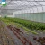 Import Best quality commercial blackout nursery film greenhouse sale from China