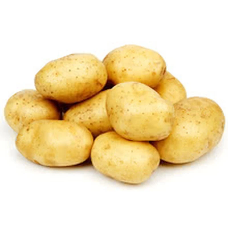 Best Quality Fresh  Potato with High Protein