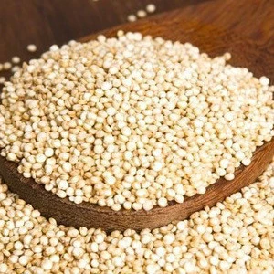 Best Quality Quinoa/quinoa export quinoa seed