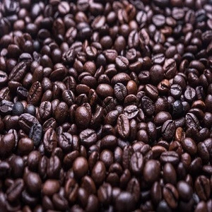 best quality Robusta and Arabica coffee beans for sale