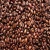 Import best quality Robusta and Arabica coffee beans for sale from Philippines