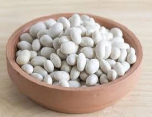 Best Quality Small Size White Kidney Bean With Cheap