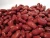 Import BEST QUALITY SPECKLED KIDNEY BEANS ,RED KIDNEY BEANS /WHITE KIDNEY BEANS ,LONG SPECKLED KIDNEY BEANS from South Africa
