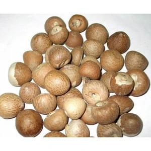 Best Selling High Quality Indonesia Betel Nuts - Split 85%