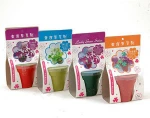 biodegradable natural plant pot ,mini desktop Plantings , mini garden