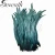Import Bleached and Dyed Dark Green Coque Tail Feathers 14-16inch Rooster Feathers from China