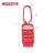 Import Bozzys PP Nylon Safety Lockout Hasp for Electric Power Isolation from China