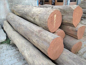 Burma teak Logs , Burma teak square logs , Marine teak logs and teak sawn timber