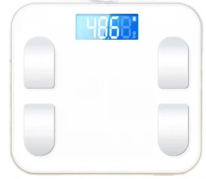 CE Approved Products Body analyis body fat scale personal scale digital weigh scale