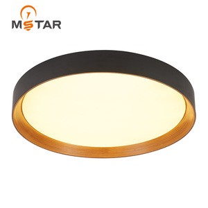 ceiling light LED round ultra-thin living room bedroom lamps balcony ceiling lamp