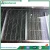 Import China Fruit Vegetable Food Washer from China