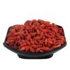 Traditional Herbs, Dried Fruit Goji Berry Herb, Wolfberry Health Supplement