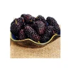 China Wholesale Websites Modern Style Frozen Mulberry