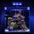 Chinese 120cm led aquarium lights fresh water plant  reef tank aquarium lights